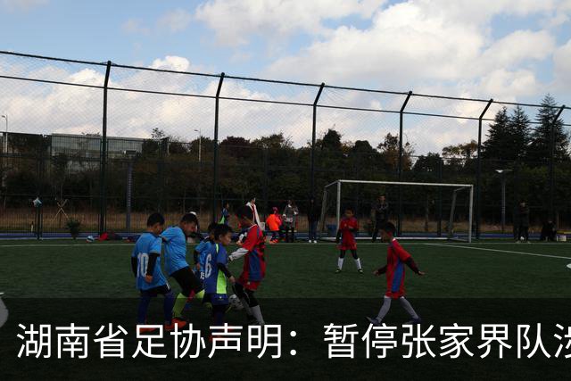 湖南省足协声明：暂停张家界队涉事人员参加省内一切足球活动